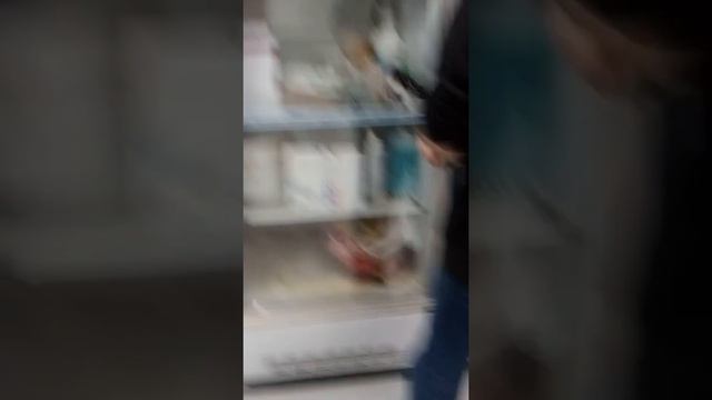 Гипофиз для стимуляции самок осетра часть 1 смотреть онлайн