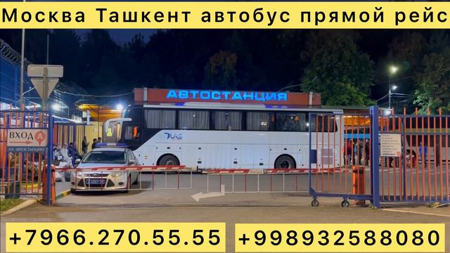 #москва #ташкент #автобус #2023 #ташкент #москва #автобус Санкт-Петербург Краснодар Самара ￼ смотреть онлайн