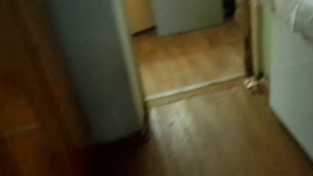 VLOG жарю шашлык из окорочков смотреть онлайн
