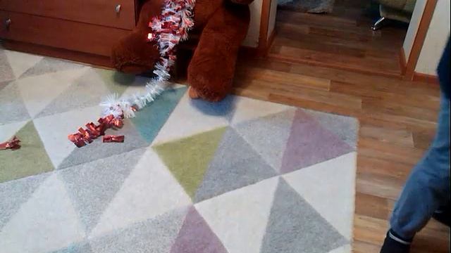 Копия видео "Драка С собакой" смотреть онлайн