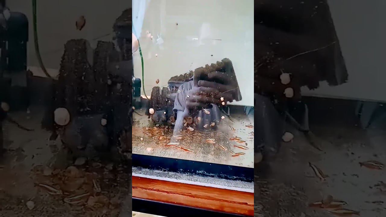 Красный и голубой неон смотреть онлайн
