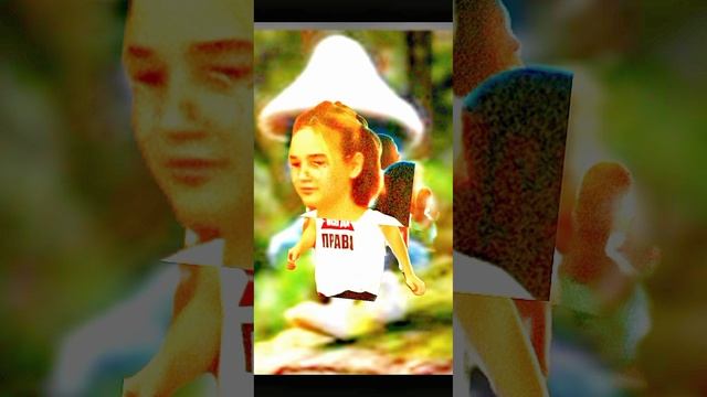 шайлукристь