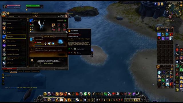 Emmigosa WoW Pet смотреть онлайн
