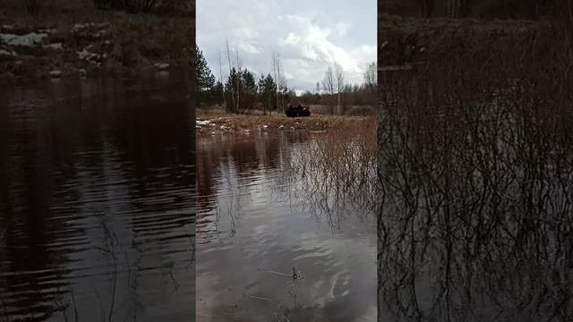 ТДН 400 Лонг. Апрельский заплыв 2021. TDN 400 Long. April Swim 2021 смотреть онлайн