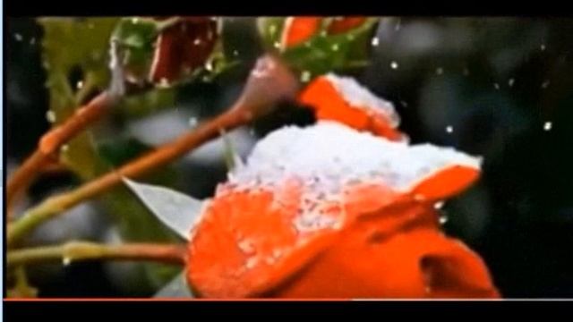 На улице зимушка вьюжная Ольга Боровикова, муз. и исп. Самуила Фрумовича смотреть онлайн