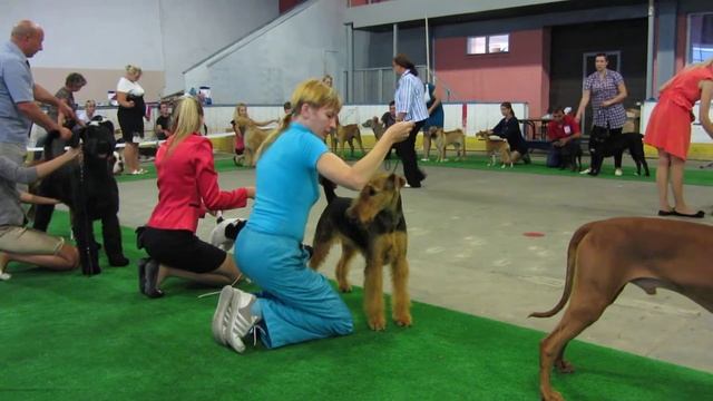 Улард Анна Луиза Ринг юниоров.MOV смотреть онлайн