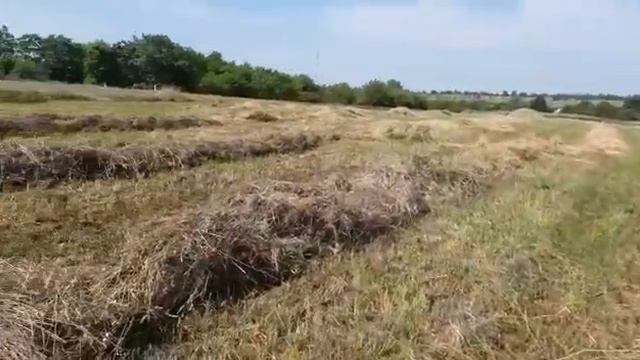 Грабли ворошилки навесные смотреть онлайн