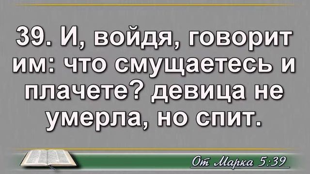 Чтение Библии на 25 Августа: Псалом 55, Евангелие от Марка 5, Книга Пророка Исаии 63, 64 смотреть онлайн