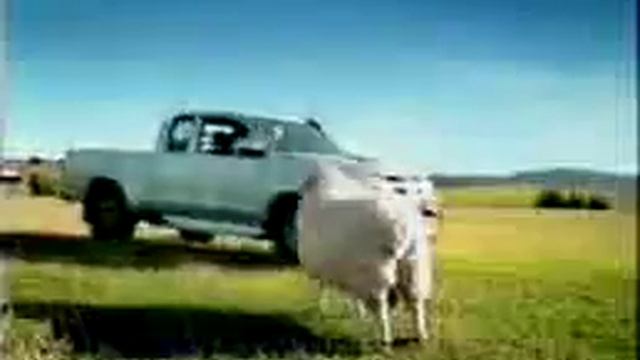Toyota tv add смотреть онлайн