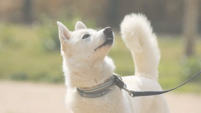 Здоровье и красота во время менопаузы