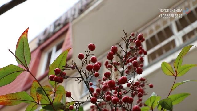 Инвестиции в недвижимость 2022. Апартаментный комплекс Пушкин Vs. бутик-отель Парк Горького в Сочи