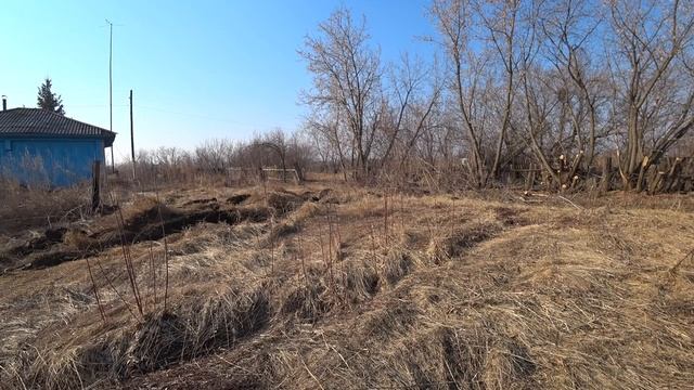 Поднимаем целину,первый огород на Т-40 АМ смотреть онлайн