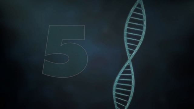 Top 9 Cutest Small Poodle Hybrids (Doodle Dogs) - Perfect For Seniors