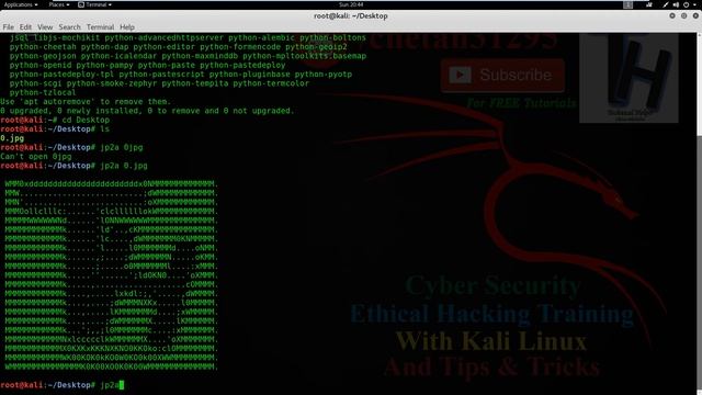 How To Make Image or photo To ASCII Art With Kali Linux ?✅✔ || Image to text convert easy way смотреть онлайн