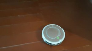 Робот пылесос