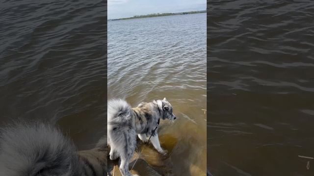 Люди вы где! Киньте смайлик смотреть онлайн