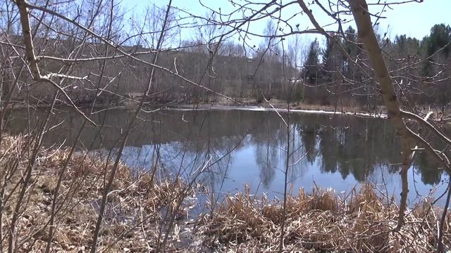 2021 04 20 ВИЗИТ МИНИСТРА ЭНЕРГЕТИКИ И ЖКХ КИРОВГРАД смотреть онлайн