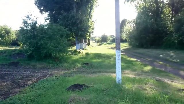 Ограждение в саду. смотреть онлайн