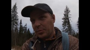 Клещ.Как я избавился от клещей.Средство от клещей для собак.Раньше снимал сотнями клещей.