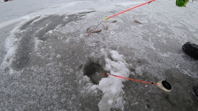 ОКУНЬ ПО ПЕРВОМУ ЛЬДУ НА МОРМЫШКУ НА ФАТЕЕВСКОМ ПРУДУ ПОРАДОВАЛ СВОИМ КЛЁВОМ! РЫБАЛКА НА УРАЛЕ! смотреть онлайн