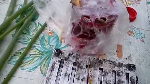 Дачный осиный зоопарк. смотреть онлайн