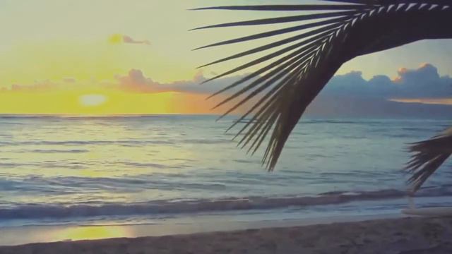 Летний Вечер