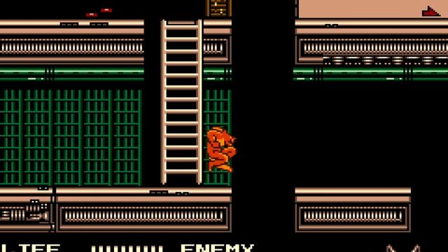 Werewolf: The Last Warrior [4K] [NES]