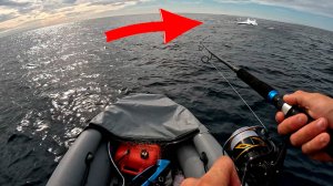 Такого я точно не ожидал! 😲