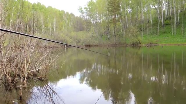 Ловля карася на поплавочную удочку