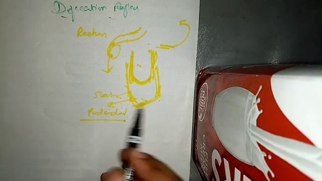 PROPULSION and MIXING OF FOOD in GIT ch 64 guyton fast eview part 7defecation with its reflex VERY смотреть онлайн