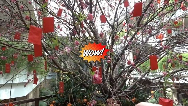 ЛУЧШИЕ ДОСТОПРИМЕЧАТЕЛЬНОСТИ В ГУАНЧЖОУ | КАНТОНСКАЯ БАШНЯ | ОСТРОВ SHAMIAN смотреть онлайн