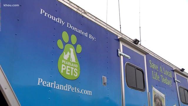 Pearland non profit offers free pet food to government employees in need смотреть онлайн