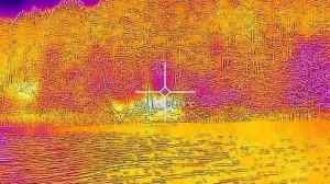 С тепловизором на рыбалке