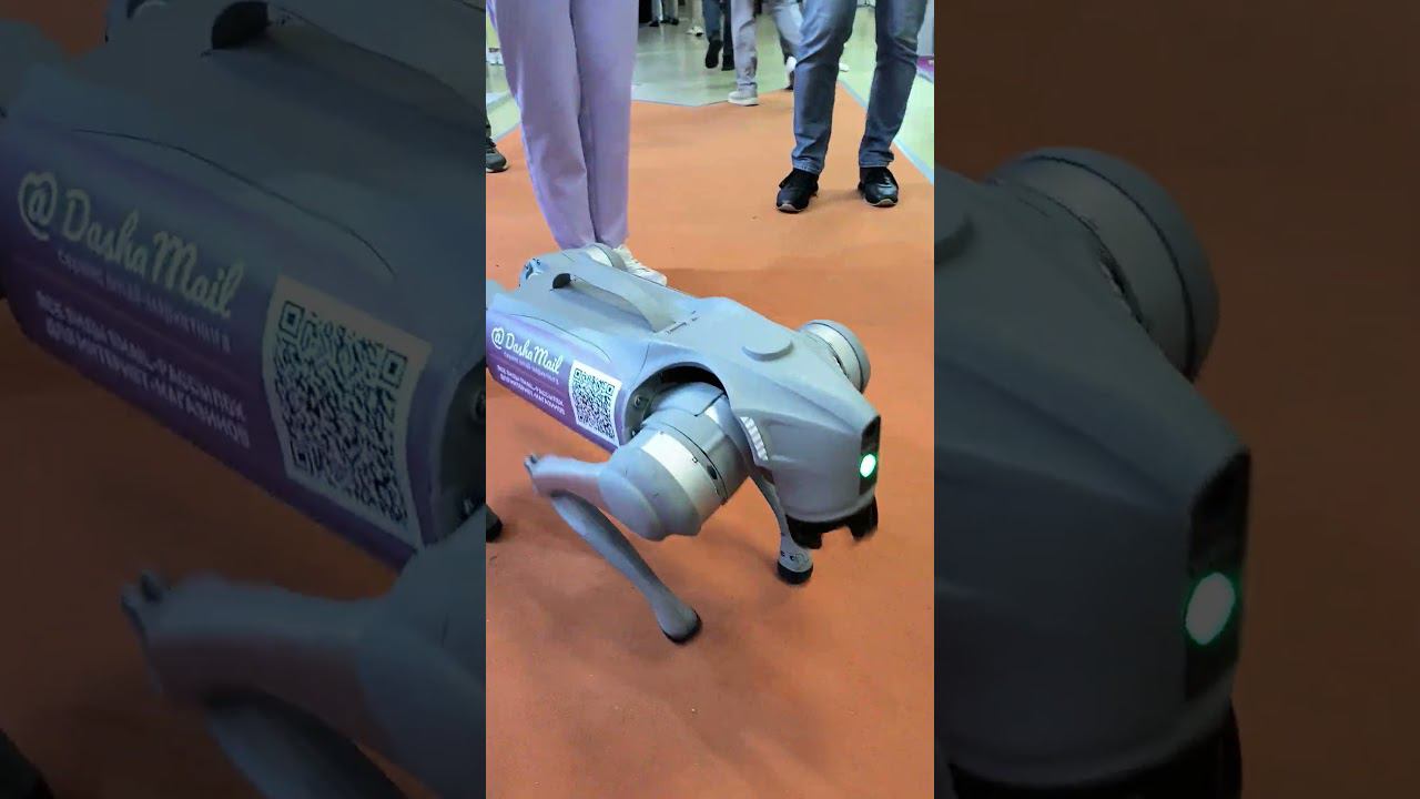 Робот Unitree A1 Basic на выставке / ЭЛЕКТРО-2024 смотреть онлайн