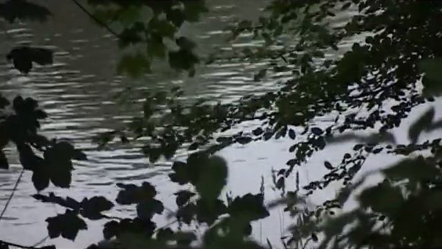 Прогулки по городу с Андреем Кропоткиным выпуск №140 улица Лесопарковая смотреть онлайн