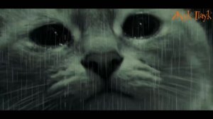 УРОДЛИВЫЙ КОТ. Стих.