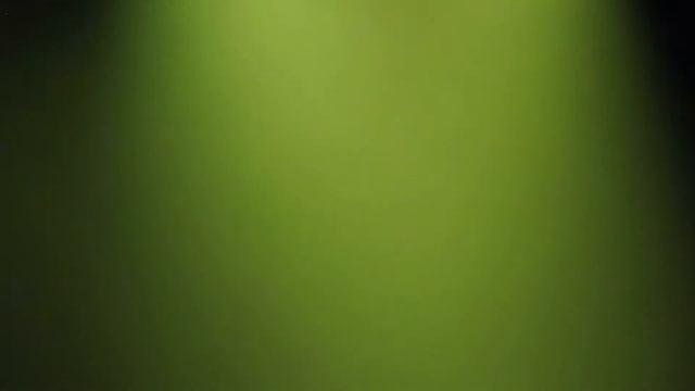 2020 Colors & Chords Preview! смотреть онлайн