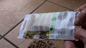 Настурция.  Когда сажать семена на рассаду?