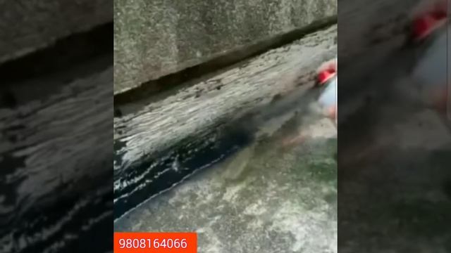 Waterproof Spray 700 ml ( 9808164066 ) смотреть онлайн