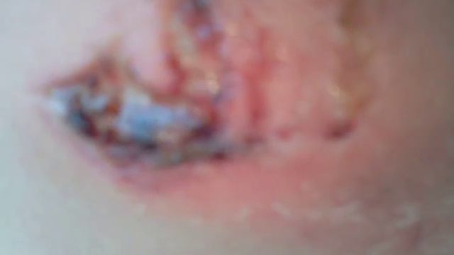 Укисила сабака смотреть онлайн