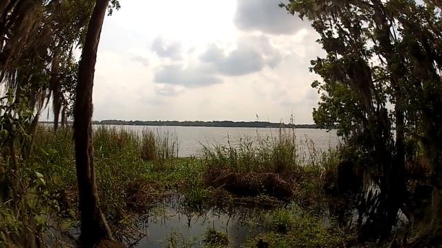 Trails at Lake Beresford смотреть онлайн