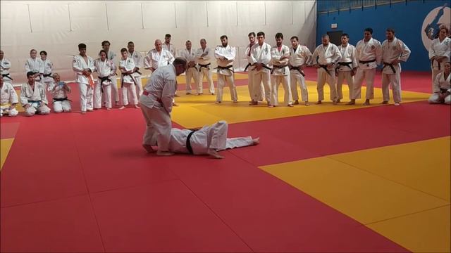 02 - Congreso Nacional de Jiu-Jitsu. 40 aniversario, Junio 2019 смотреть онлайн