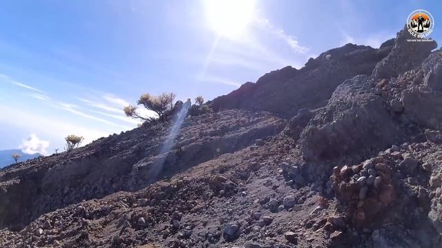 Pendakian PALING EMOSIONAL DALAM HIDUP SAYA | GUNUNG RINJANI #3 смотреть онлайн