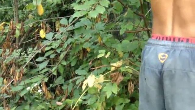 Бензопила Oregon #Chainsaw Oregon GL4500