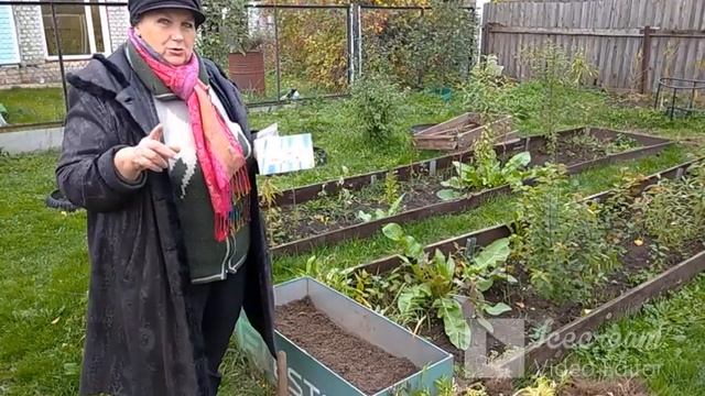 Осень. Подзимняя посадка гладиолусов. смотреть онлайн