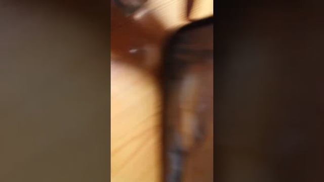 Еда из якитории??????