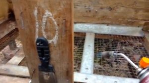 Дезинфекция кроличьей клетки Эффективность 100%