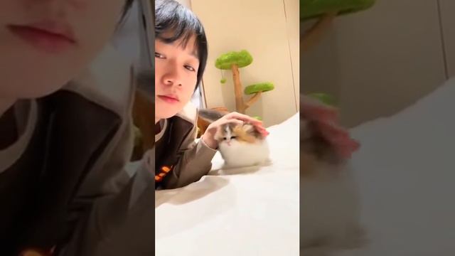 Пушистик смотреть онлайн