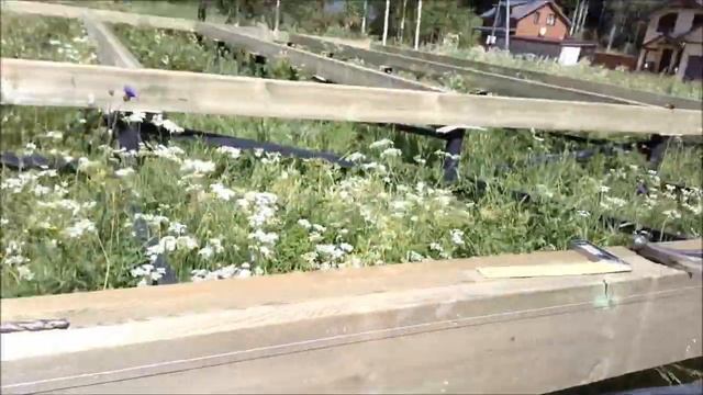 Строительство каркасного дома день 2. Сборка ростверка. смотреть онлайн