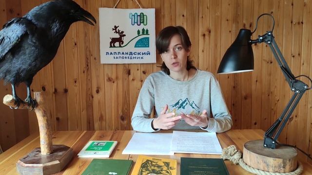 При каких условиях образуется северное сияние? Лесная почта Лапландского заповедника смотреть онлайн